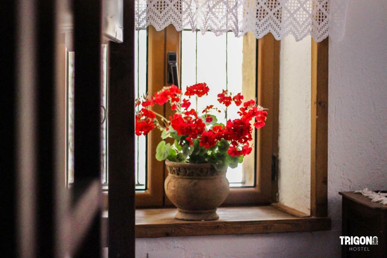 Trigona Hostel Αργυρόκαστρο Εξωτερικό φωτογραφία